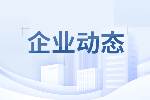 山东沉工集团召开党建典型案例钻研会